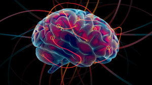 Illustration of neuroplasticity, the brain rewiring connections that drive social anxiety.