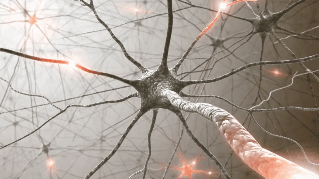 Neural network visualization showing active synapses in mind-brain connection.