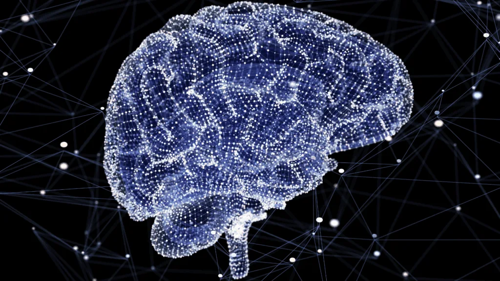 Digital visualization of neural networks in human brain
