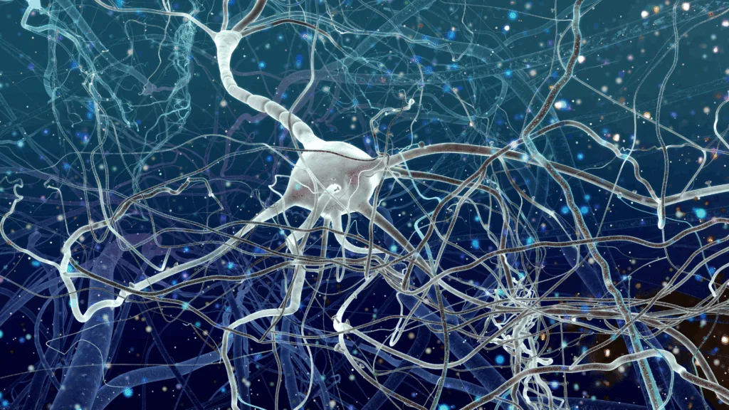 A 3D visualization of neural pathways in the brain, representing the neuroscience of hoarding disorder.
