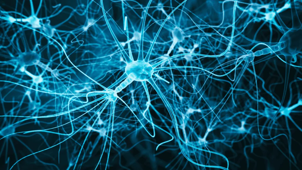 Close-up of illuminated neural connections, representing neuroplasticity and cognitive flexibility.