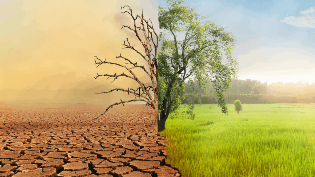 Split image showing barren land transitioning into lush greenery, symbolizing transformation through neuroplastic momentum."
