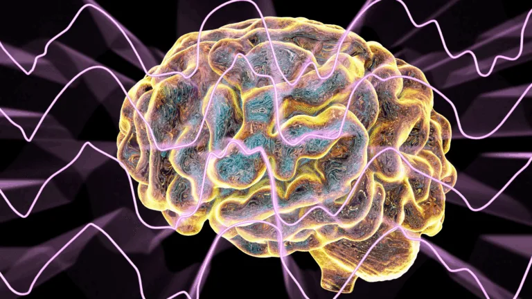 "Illustration of a glowing human brain with neural pathways lighting up, symbolizing neuroplastic momentum and brain rewiring.