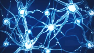 Close-up of glowing brain synapses, illustrating the neuroscience of trusting your decisions through neural connections.