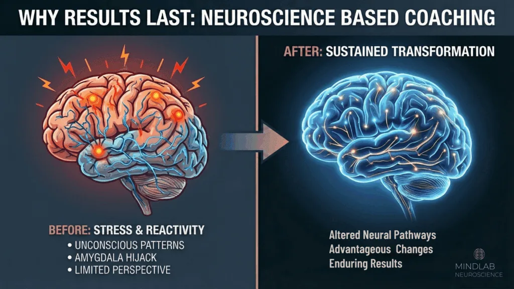 Brain diagram showing how neuroscience-based coaching regulates amygdala and prefrontal cortex for improved emotional control and decision-making outcomes.