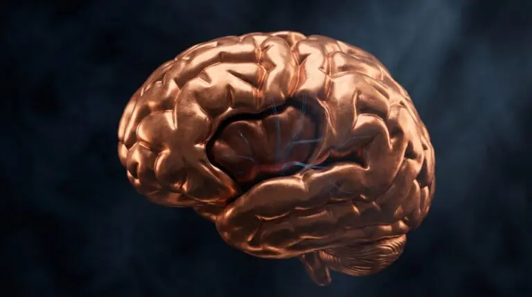 Copper brain architecture showing thinned insular cortex with dimmed blue empathy pathways