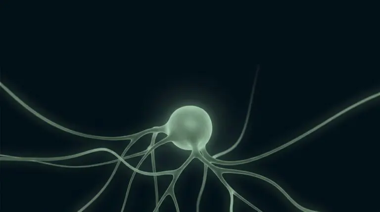 Self-awareness and interoception, rendered as signals rising into a luminous central awareness in sage on navy.
