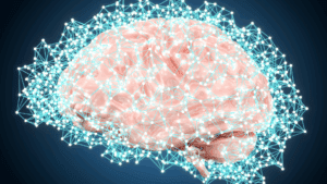 Digital illustration of a human brain with neural connections, representing the science of cognitive reframing.