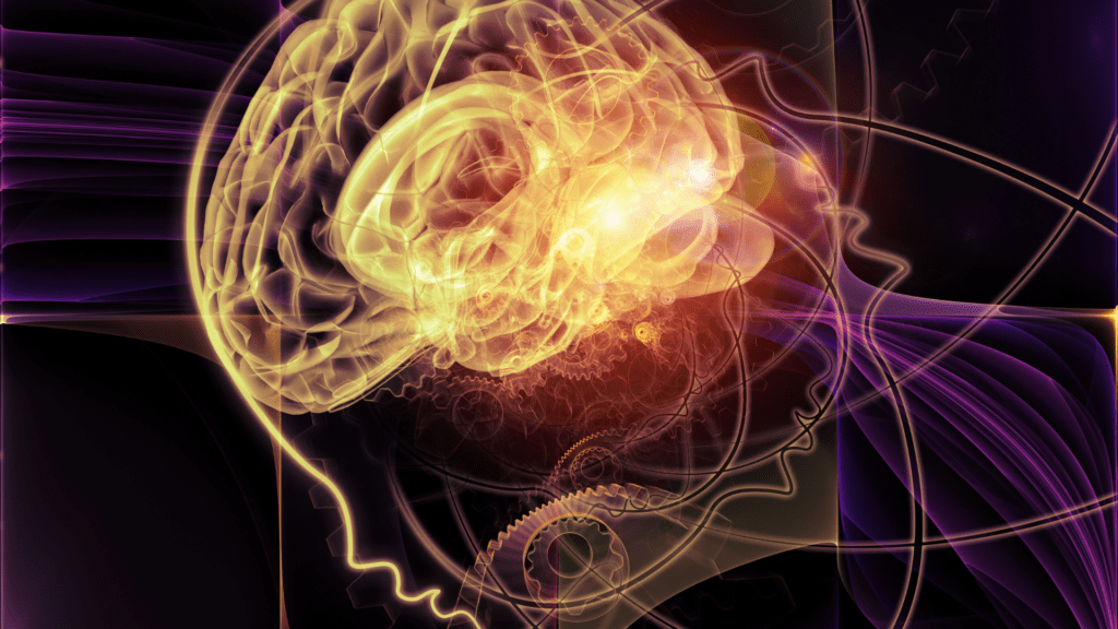 a human brain with gears and cogs