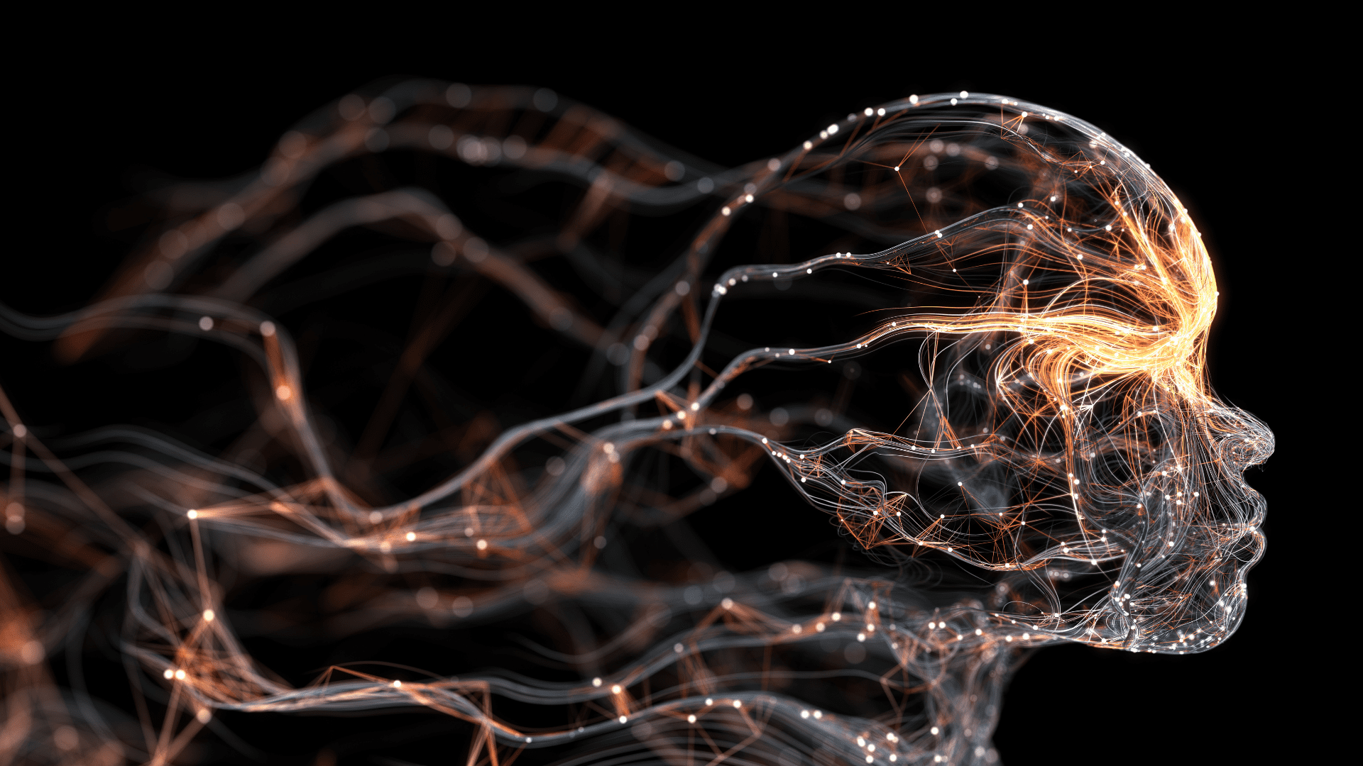 Understanding Human Behavior: The Role Of Neuroscience