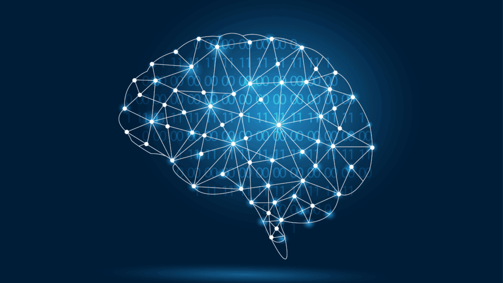 Neural network illustration showcasing brain adaptability.

