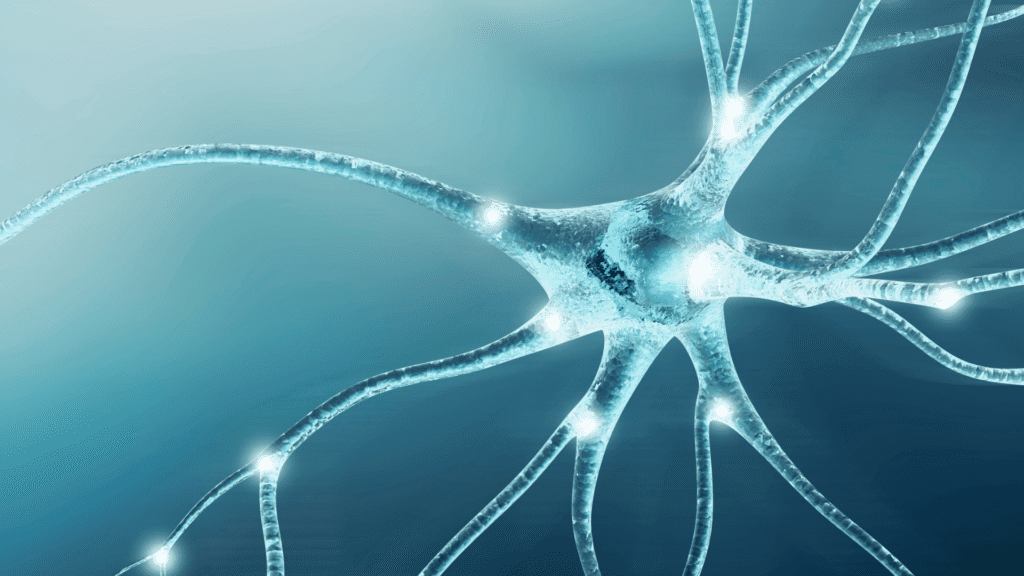 3D illustration of glowing neuron with synaptic connections representing the neuroscience behind trusting your gut.