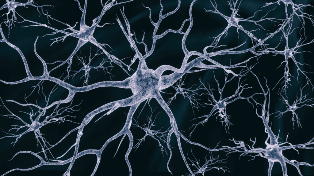 Neural connections representing the neuroscience of feeling disconnected and the impact of autopilot mode on the brain.
