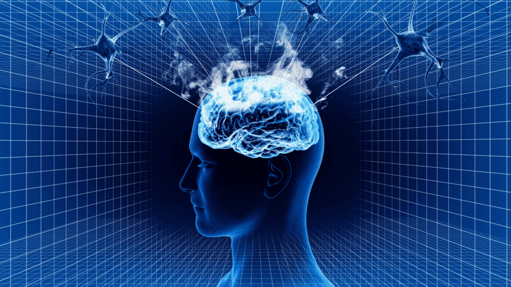 3D illustration of a human head with a glowing brain connected to neural networks, emphasizing the impact of neurofitness routines on brain health.



