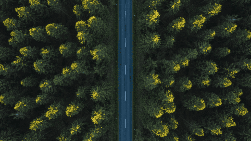 A straight road through a forest, viewed from above, symbolizing the clarity of taking the high roaad.