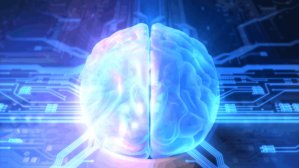 Digital illustration of a brain highlighting the neuroscience of a flow state