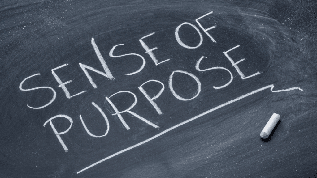 Sense of purpose in a purpose-driven career change written on a chalkboard.


