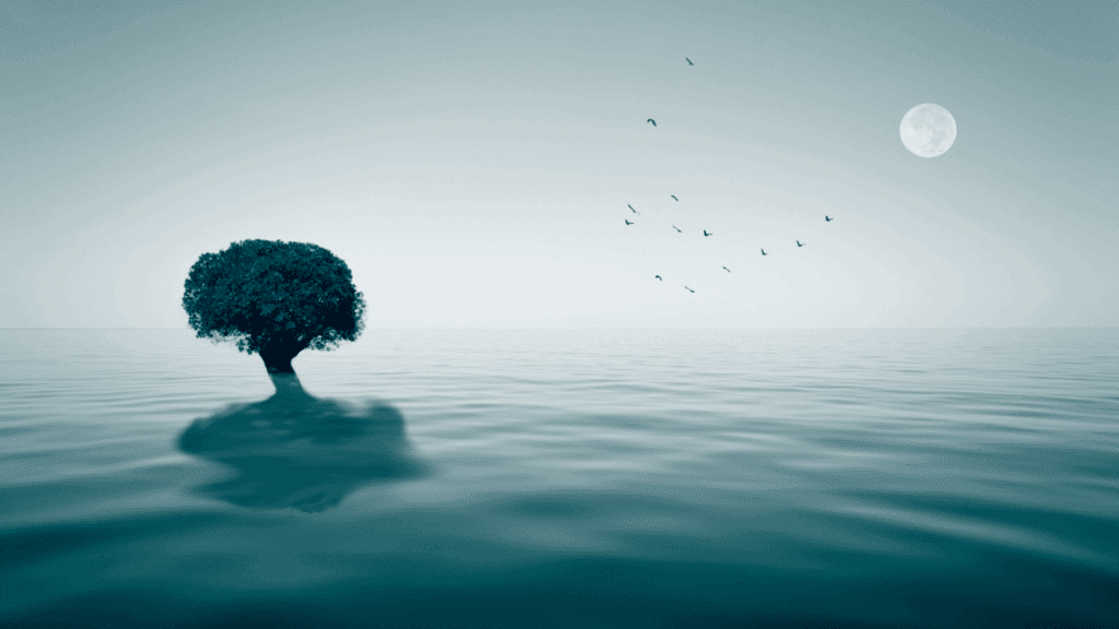 Solitary tree in calm water under the moonlight, symbolizing peace and relief when asking how do I stop a panic attack.