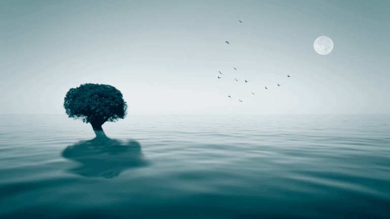 Solitary tree in calm water under the moonlight, symbolizing peace and relief when asking how do I stop a panic attack.