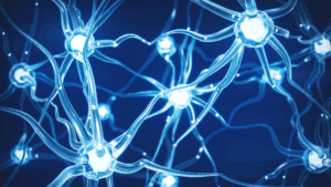 Close-up of glowing brain synapses, illustrating the neuroscience of trusting your decisions through neural connections.