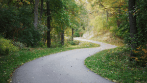 A winding path through a peaceful forest, symbolizing the journey toward recovery in early intervention mental health 2025.