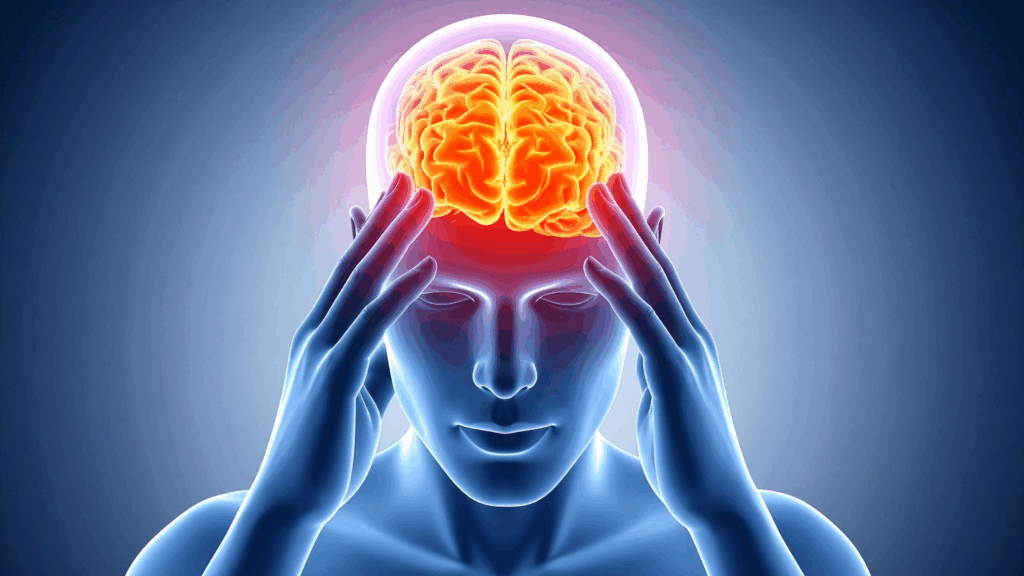 Brain imaging showing neural pathways related to anxiety and fear response management.