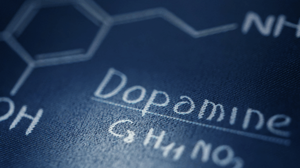 Close-up view of dopamine neurotransmitter chemical structure and formula displaying the molecular composition underlying dopamine coaching mechanisms.

