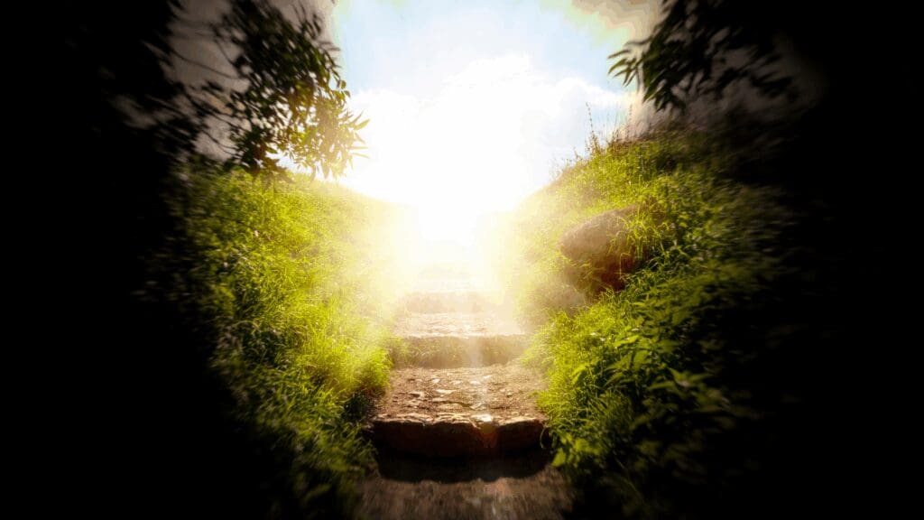 Sunlight emerging through verdant tunnel symbolizing recovery from feeling blah through neuroscience of joy principles.