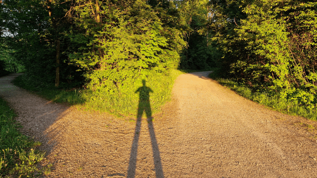 A person stands at a forked path in a sunlit forest, symbolizing choices in neuroscience coaching for executives.

