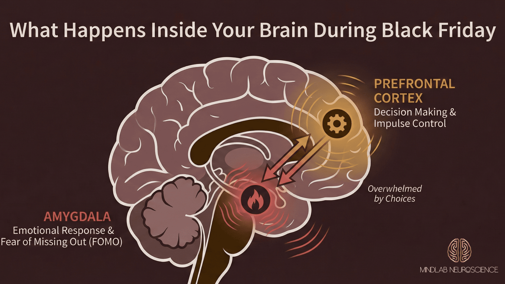 Brain diagram showing amygdala threat response and prefrontal cortex decision-making during Black Friday shopping and scarcity triggers