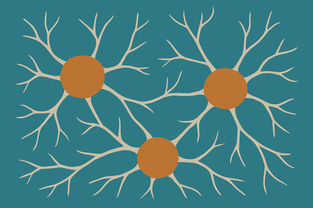 Three neurons connected by branching pathways illustrating the science behind neuroplasticity and synaptic communication.