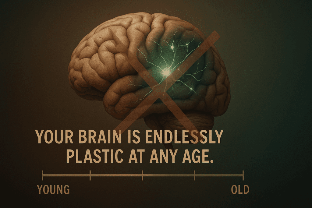 Graphic showing a crossed-out head silhouette next to other profiles, with a central brain network debunking the myth of endless neuroplasticity.