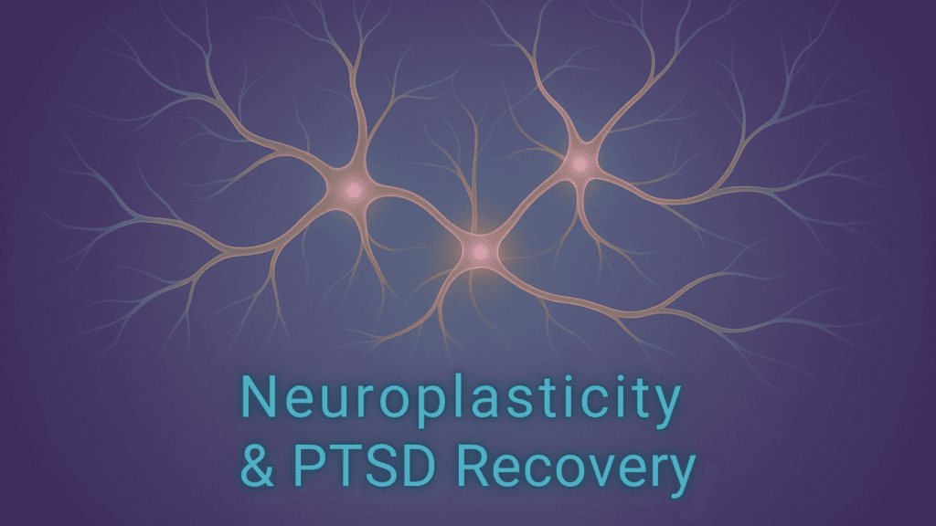 Three glowing neurons with branching connections illustrate neuroplasticity, trauma recovery, and the ability to rewire your brain after trauma using advanced neuroscience principles.

