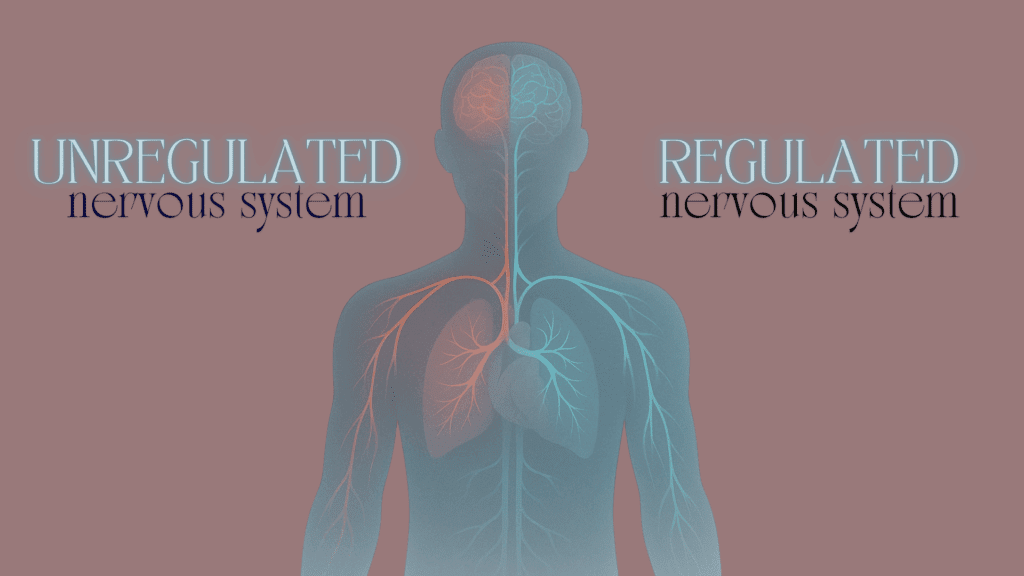 Medical illustration comparing regulated and dysregulated nervous systems, demonstrating neuroplasticity, rewire your brain after trauma, and holistic approaches to PTSD recovery.