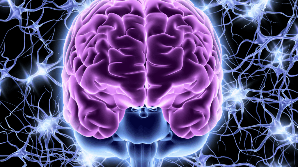 Illuminated purple and blue brain illustration showing neural pathways and synaptic activity, representing the dopamine and infidelity reward system and neurotransmitter communication.

