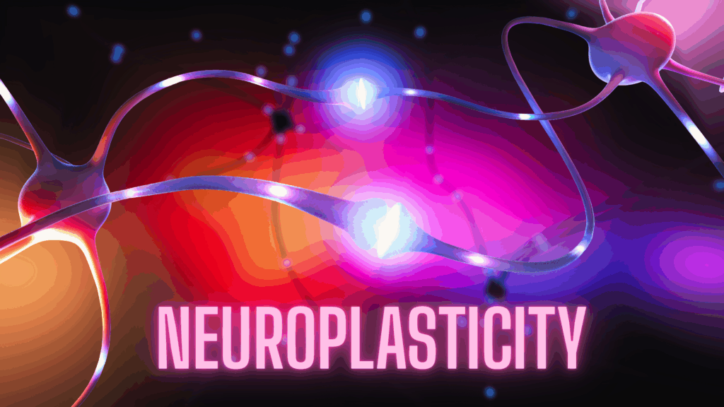 Colorful neural connections with glowing neurons illustrating neuroplasticity and how the brain rewires itself through synaptic plasticity.