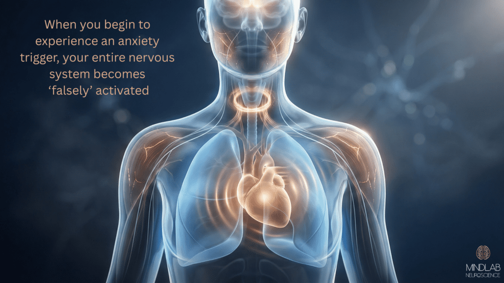 Transparent human body illustration showing anxiety trigger response with glowing nervous system pathways and activated heart and chest area on a dark blurred background of a person with an anxious brain..