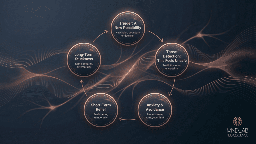 A circular diagram showing the five-stage cycle that explains why your brain rejects change, illustrated with flowing neural lines and soft copper tones.