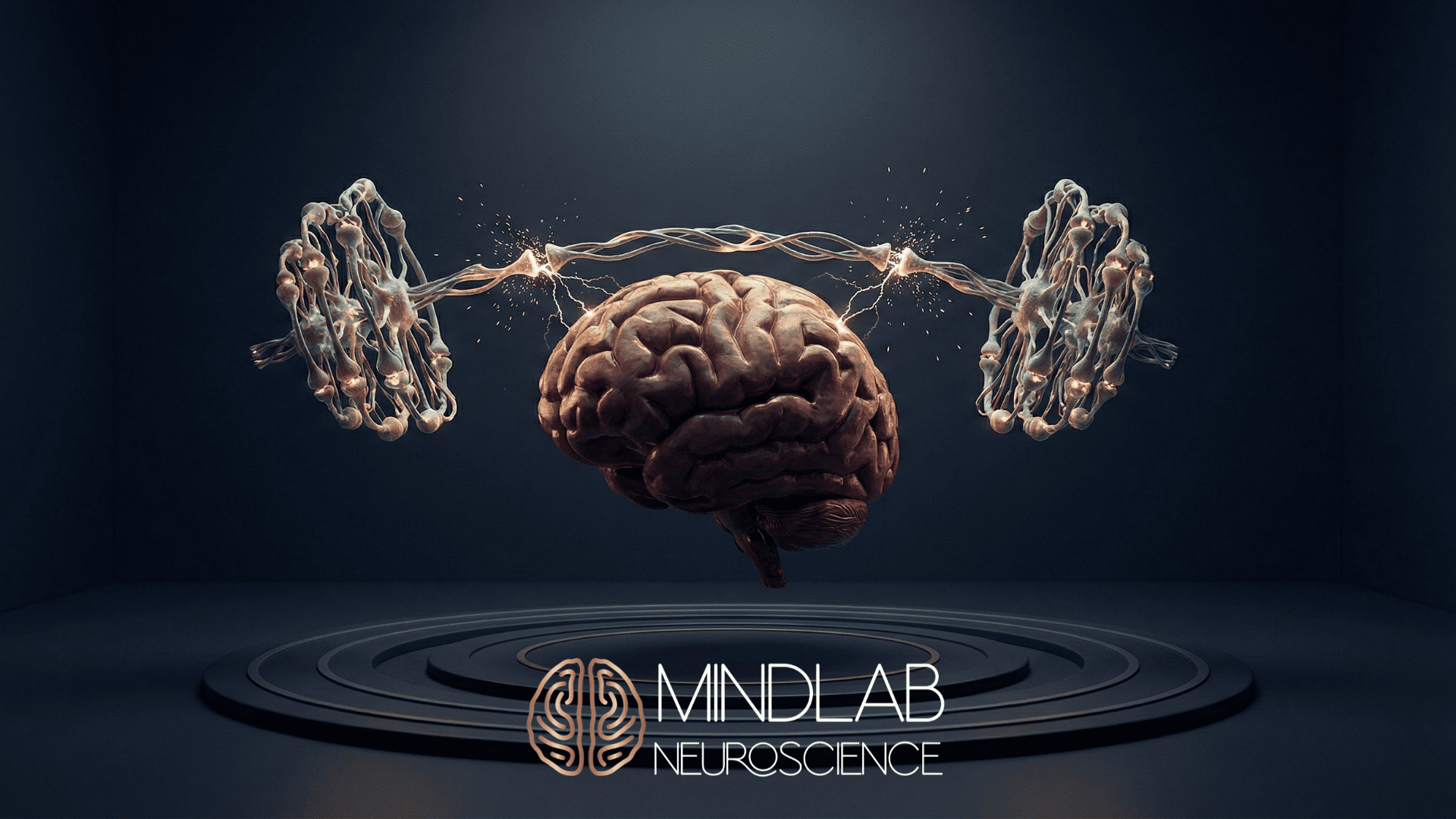 Glowing neural clusters fire electrical energy into a floating 3D brain above concentric rings, symbolizing MindLAB Neuroscience’s precision approach to neuroplasticity exercises.