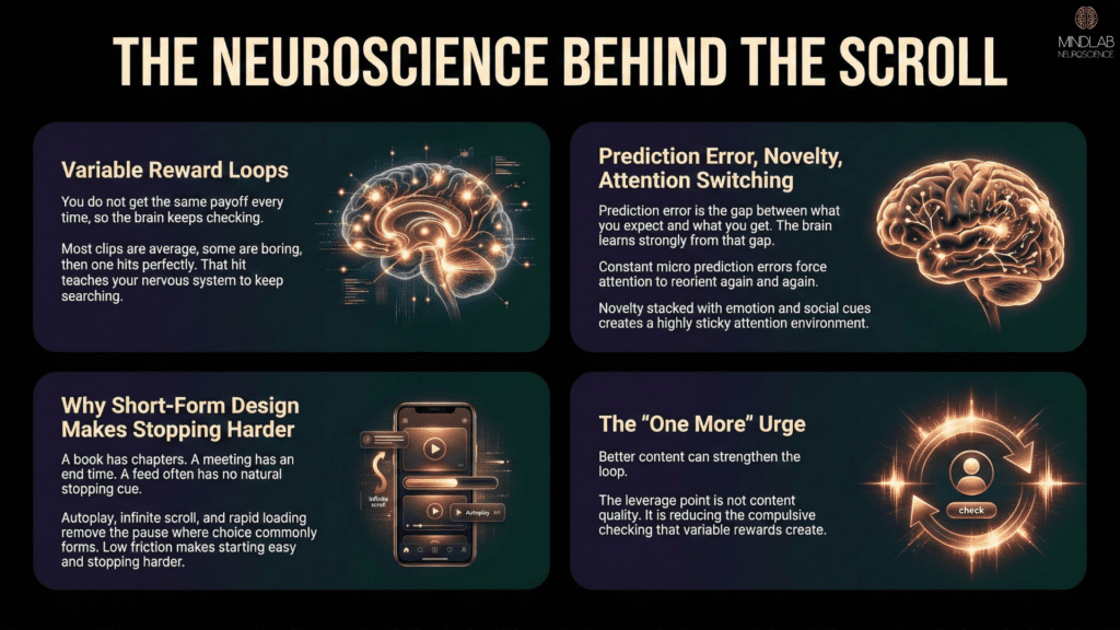 Infographic showing four glowing brain icons with text explaining variable reward loops, prediction error, novelty, and short-form design effects on dopamine and attention.
