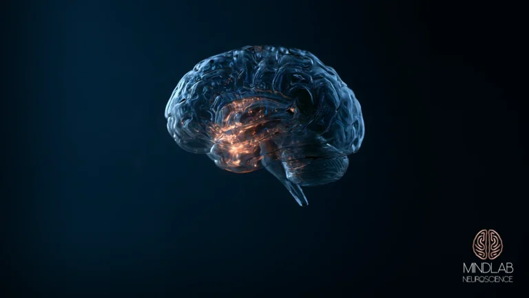 How to Regulate Your Amygdala Activity