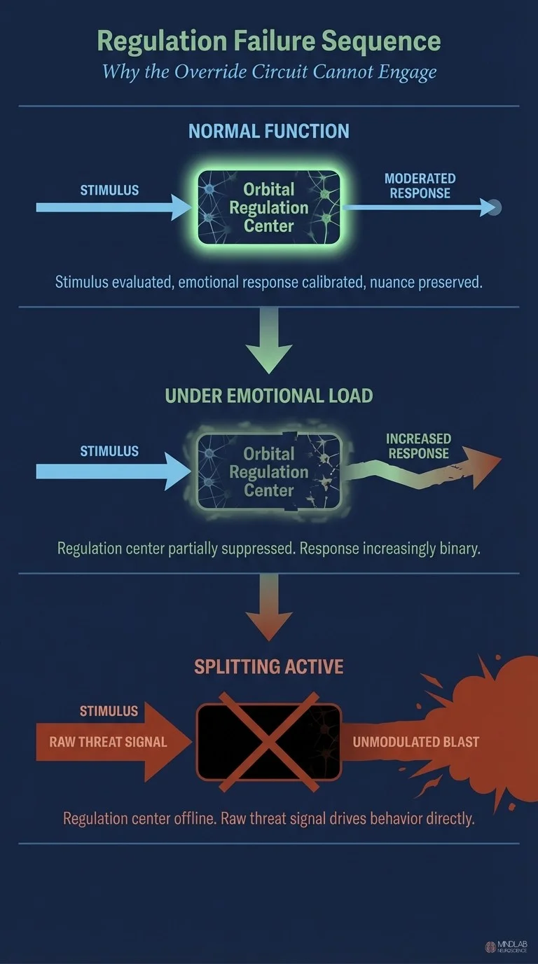 Three-stage regulation failure sequence showing progressive neural shutdown during BPD splitting. MindLab Neuroscience.