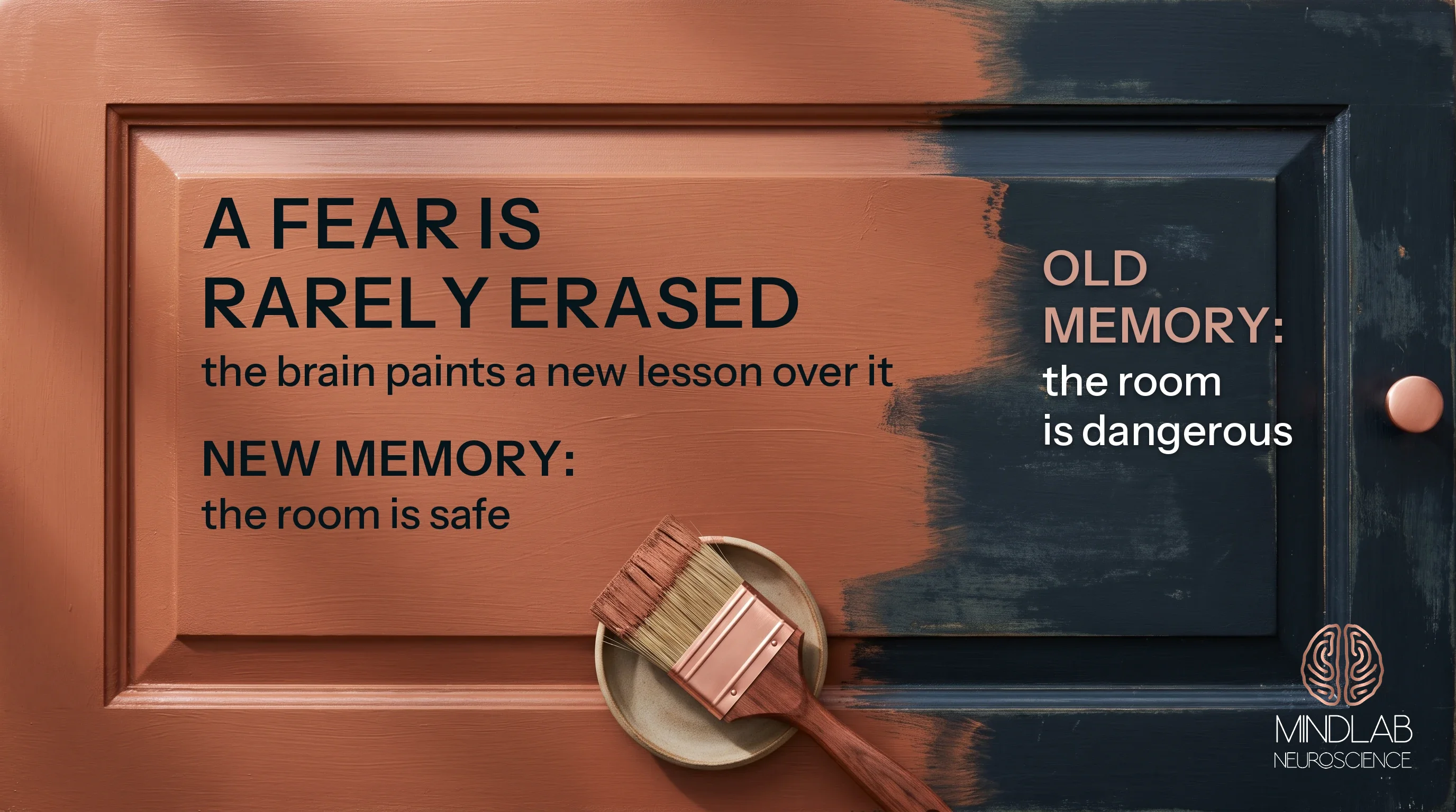 Cabinet door half repainted copper over an older navy finish, showing new safety learning laid over an old fear memory