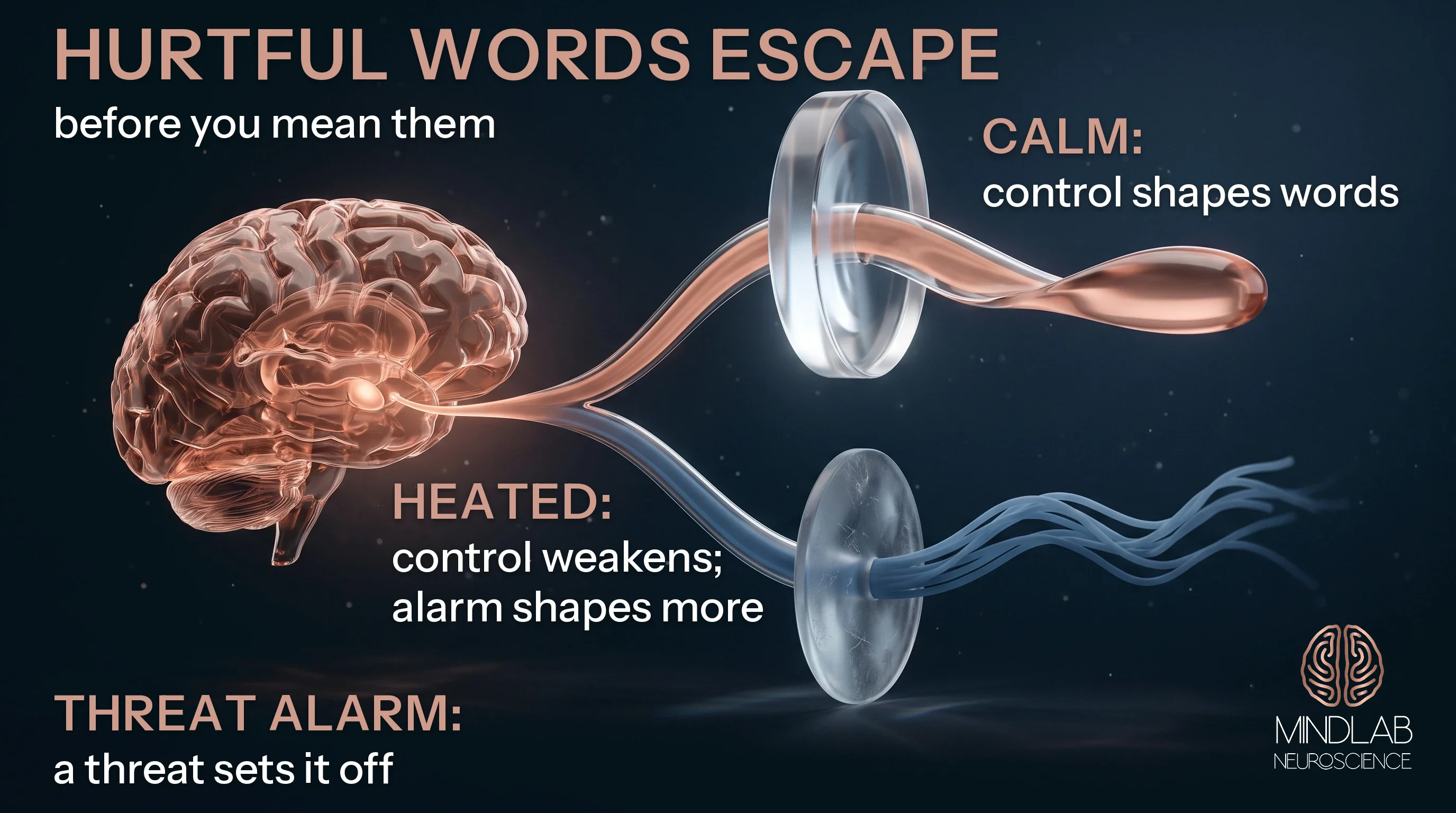 Illustration: a threat cue reaches the amygdala; calm control shapes the words, a weakened lens lets the reaction through.