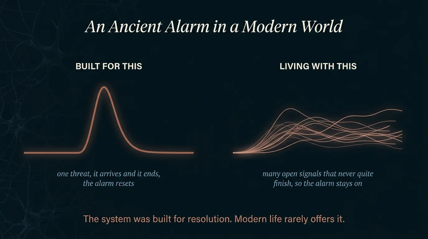 Diagram contrasting one ancient threat signal that resolves against modern signals that never finish, keeping the alarm on