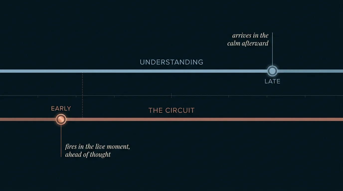 Two parallel tracks that never meet showing the circuit firing early in the live moment while understanding arrives late afterward