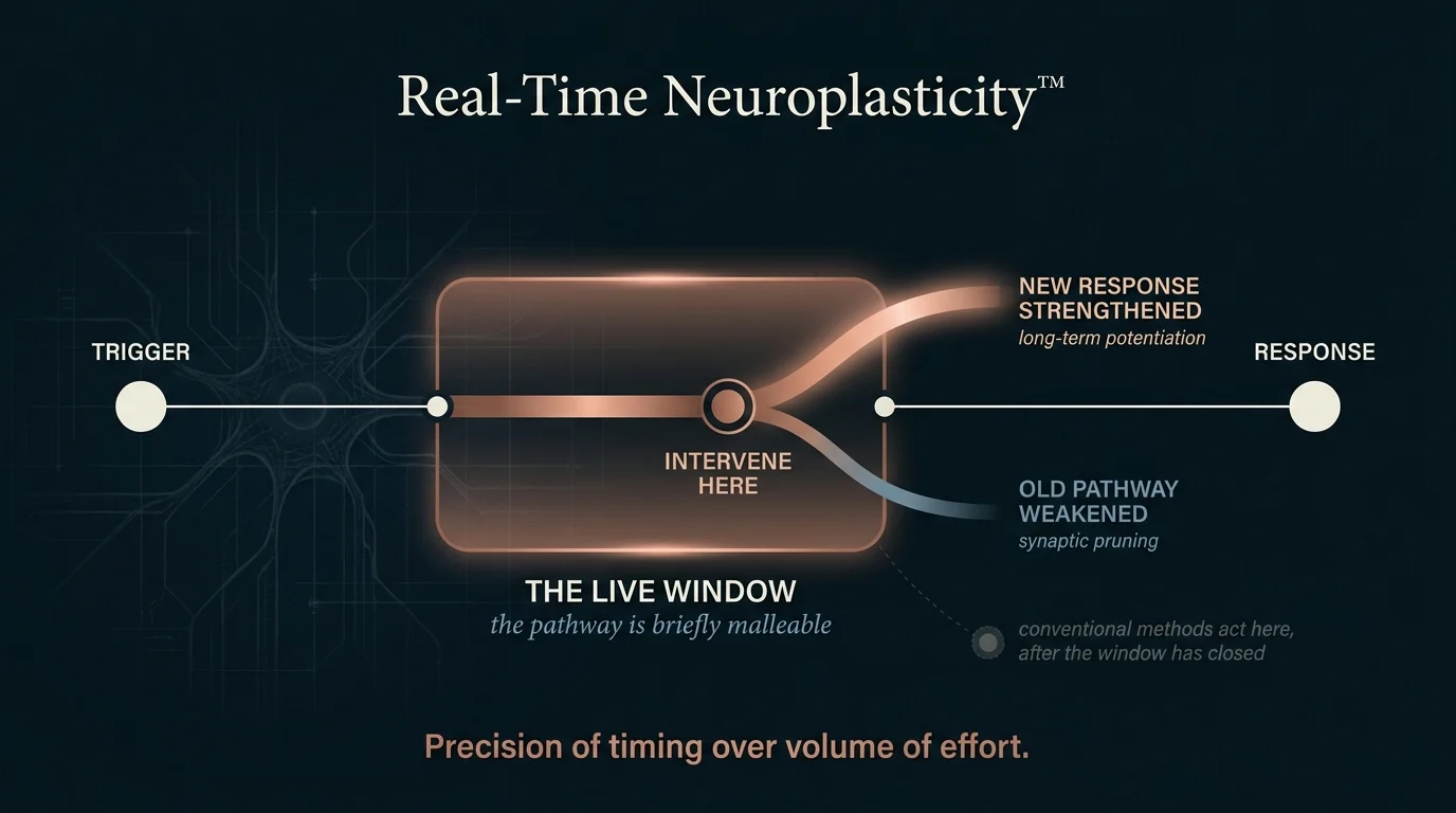 Real-Time Neuroplasticity framework showing the live malleable window where intervening rewires a firing pattern in the moment