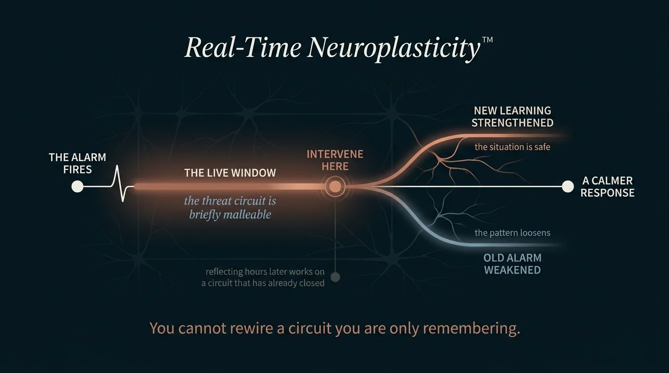Real-Time Neuroplasticity diagram of the live window where intervening rewires the anxious threat circuit as it fires