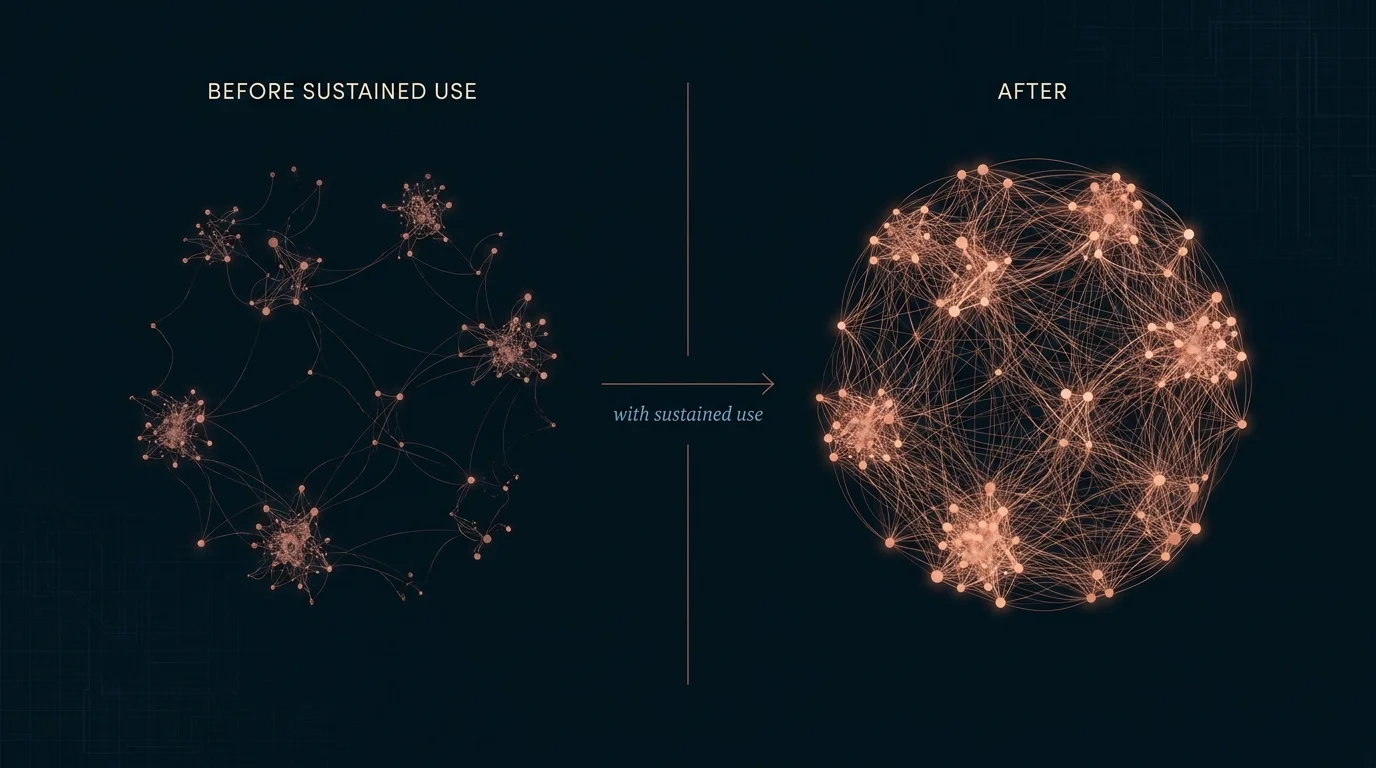 Before and after neural network showing a sparse cluster becoming dense and richly interconnected with sustained use