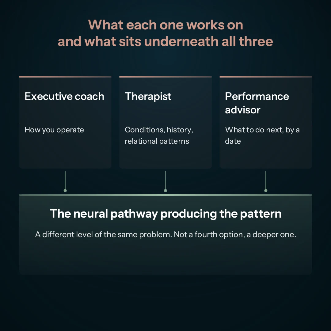 Executive coach, therapist and performance advisor side by side, with the neural pathway beneath all three